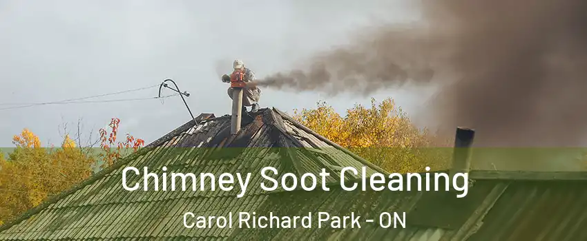  Chimney Soot Cleaning Carol Richard Park - ON