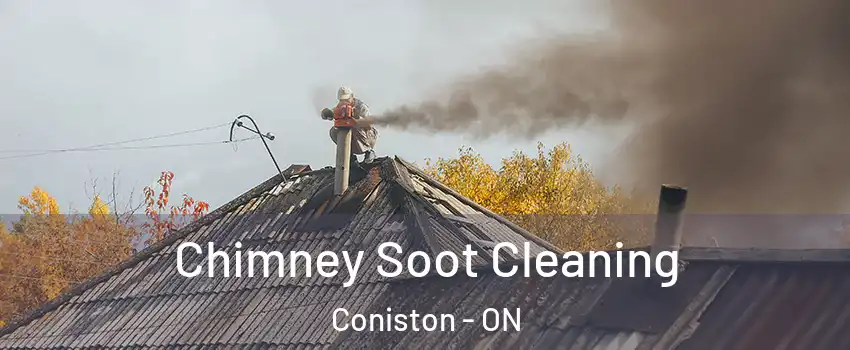  Chimney Soot Cleaning Coniston - ON