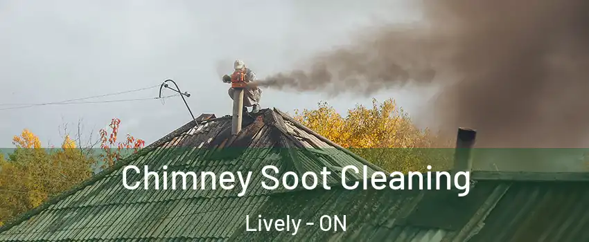  Chimney Soot Cleaning Lively - ON