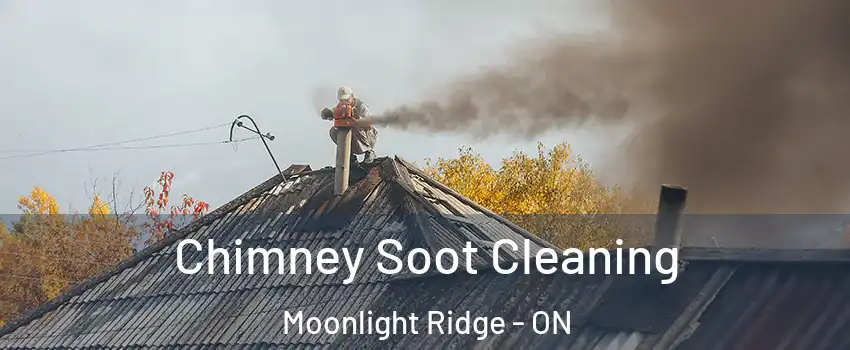  Chimney Soot Cleaning Moonlight Ridge - ON