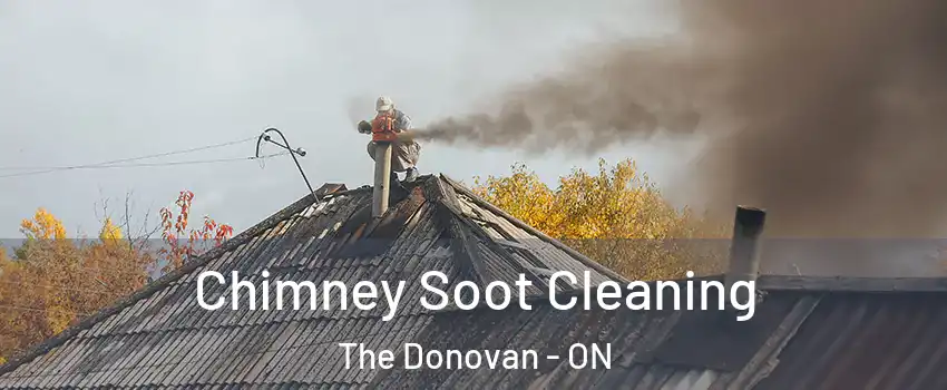  Chimney Soot Cleaning The Donovan - ON