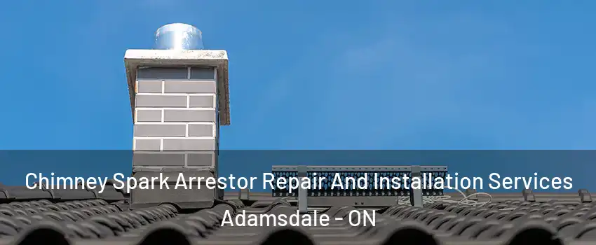  Chimney Spark Arrestor Repair And Installation Services Adamsdale - ON