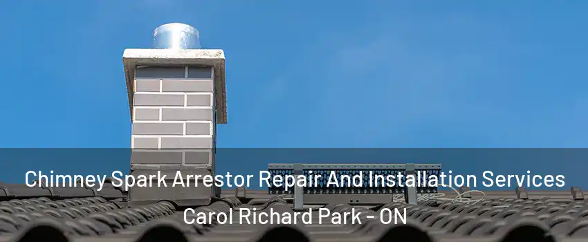  Chimney Spark Arrestor Repair And Installation Services Carol Richard Park - ON