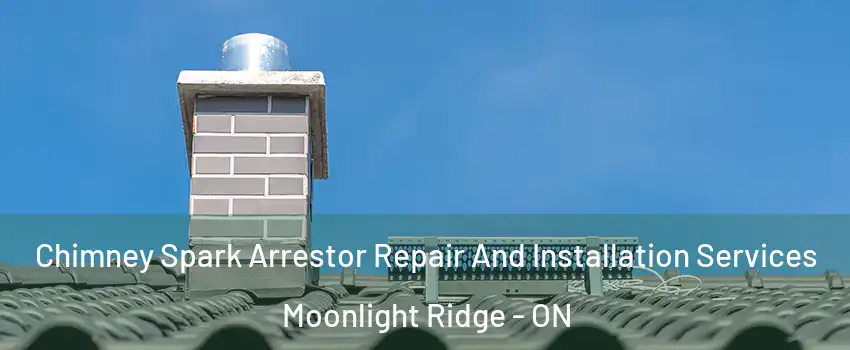  Chimney Spark Arrestor Repair And Installation Services Moonlight Ridge - ON