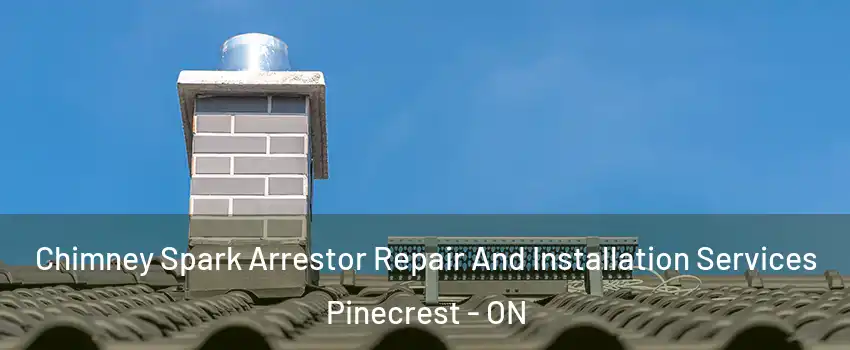  Chimney Spark Arrestor Repair And Installation Services Pinecrest - ON