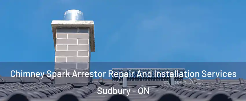  Chimney Spark Arrestor Repair And Installation Services Sudbury - ON