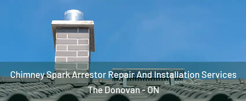  Chimney Spark Arrestor Repair And Installation Services The Donovan - ON