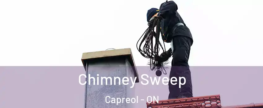  Chimney Sweep Capreol - ON