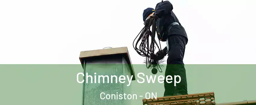  Chimney Sweep Coniston - ON