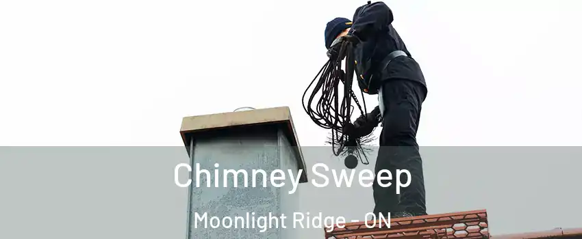  Chimney Sweep Moonlight Ridge - ON