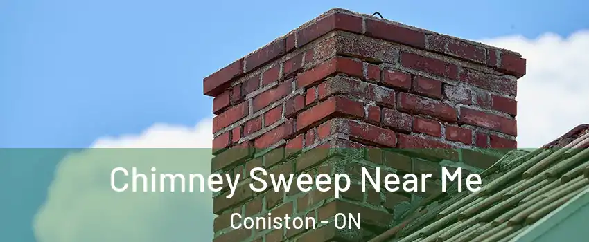  Chimney Sweep Near Me Coniston - ON