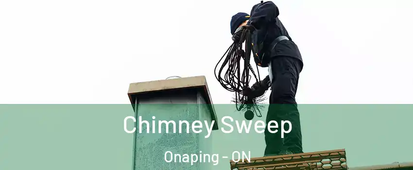  Chimney Sweep Onaping - ON