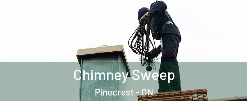  Chimney Sweep Pinecrest - ON