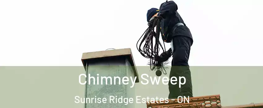  Chimney Sweep Sunrise Ridge Estates - ON