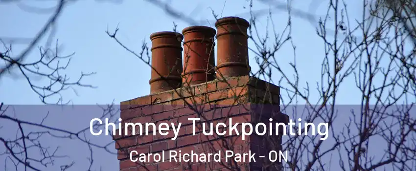  Chimney Tuckpointing Carol Richard Park - ON