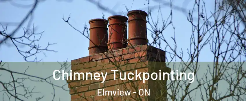  Chimney Tuckpointing Elmview - ON