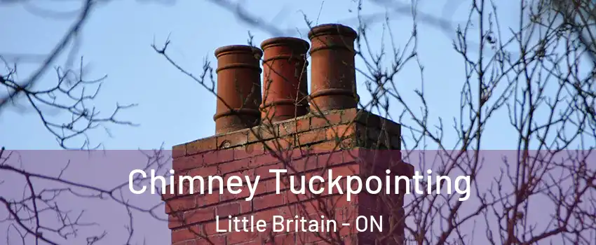  Chimney Tuckpointing Little Britain - ON