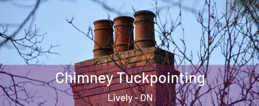  Chimney Tuckpointing Lively - ON