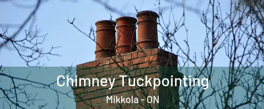  Chimney Tuckpointing Mikkola - ON