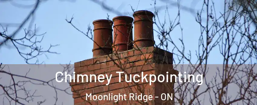  Chimney Tuckpointing Moonlight Ridge - ON
