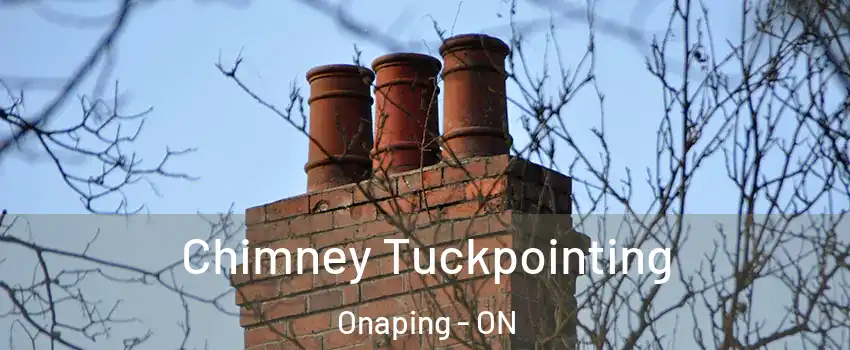  Chimney Tuckpointing Onaping - ON