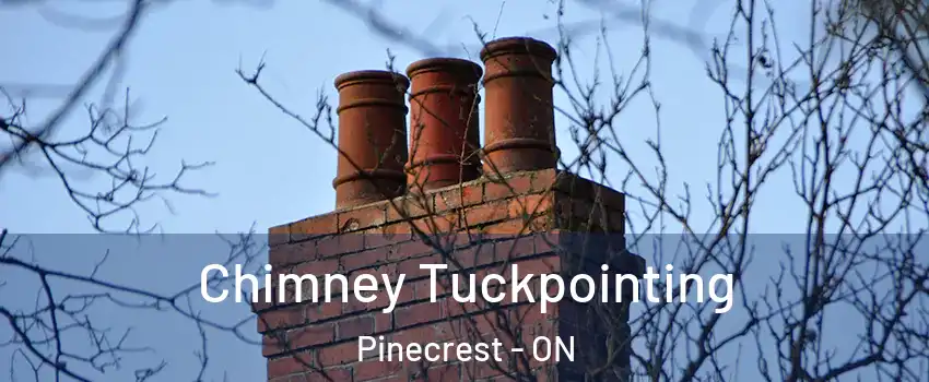  Chimney Tuckpointing Pinecrest - ON