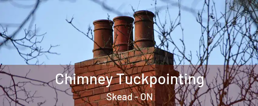  Chimney Tuckpointing Skead - ON