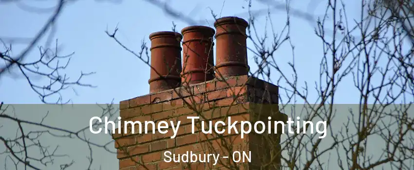  Chimney Tuckpointing Sudbury - ON