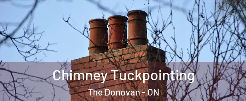  Chimney Tuckpointing The Donovan - ON