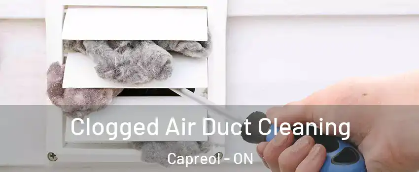 Clogged Air Duct Cleaning Capreol - ON