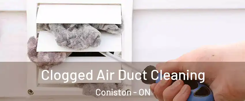  Clogged Air Duct Cleaning Coniston - ON