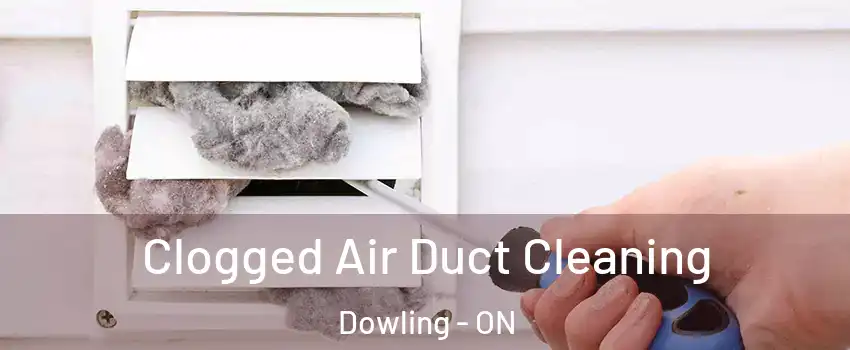  Clogged Air Duct Cleaning Dowling - ON