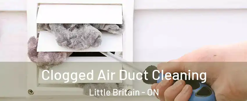  Clogged Air Duct Cleaning Little Britain - ON