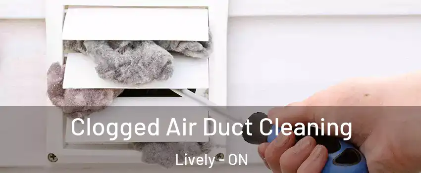  Clogged Air Duct Cleaning Lively - ON