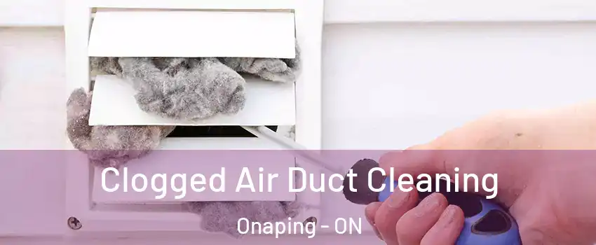  Clogged Air Duct Cleaning Onaping - ON