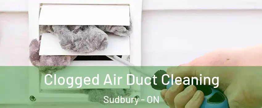  Clogged Air Duct Cleaning Sudbury - ON