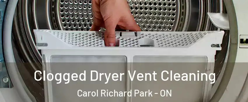  Clogged Dryer Vent Cleaning Carol Richard Park - ON