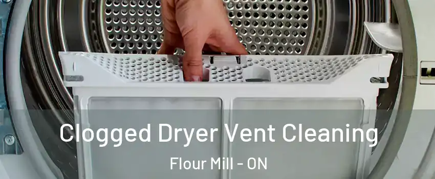  Clogged Dryer Vent Cleaning Flour Mill - ON