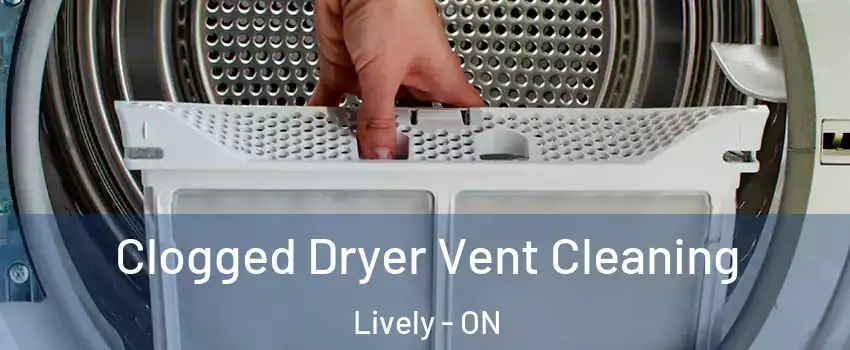  Clogged Dryer Vent Cleaning Lively - ON