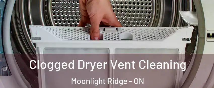  Clogged Dryer Vent Cleaning Moonlight Ridge - ON