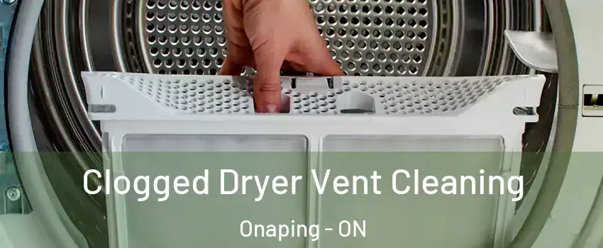  Clogged Dryer Vent Cleaning Onaping - ON