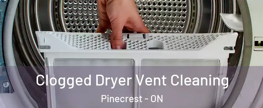  Clogged Dryer Vent Cleaning Pinecrest - ON