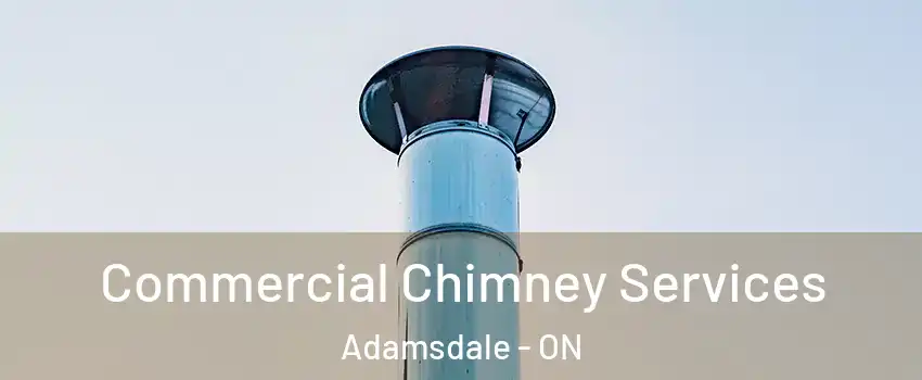  Commercial Chimney Services Adamsdale - ON