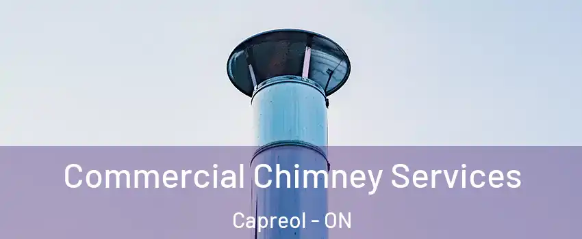  Commercial Chimney Services Capreol - ON