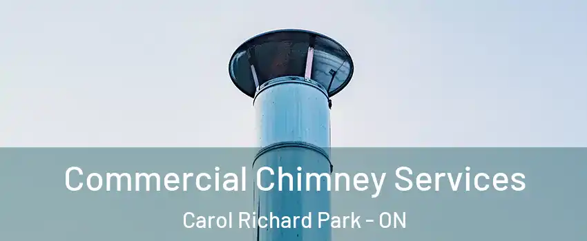  Commercial Chimney Services Carol Richard Park - ON