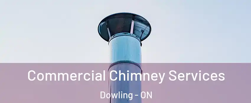  Commercial Chimney Services Dowling - ON