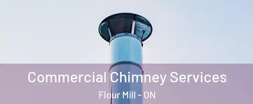  Commercial Chimney Services Flour Mill - ON
