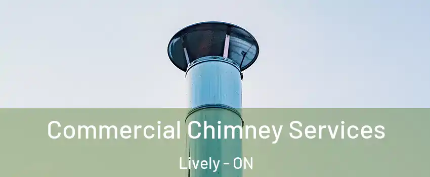  Commercial Chimney Services Lively - ON