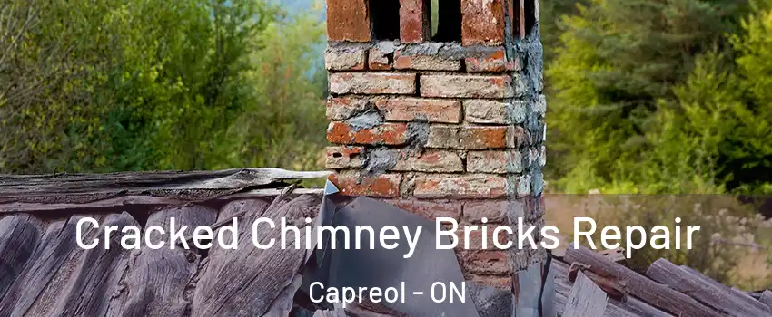  Cracked Chimney Bricks Repair Capreol - ON