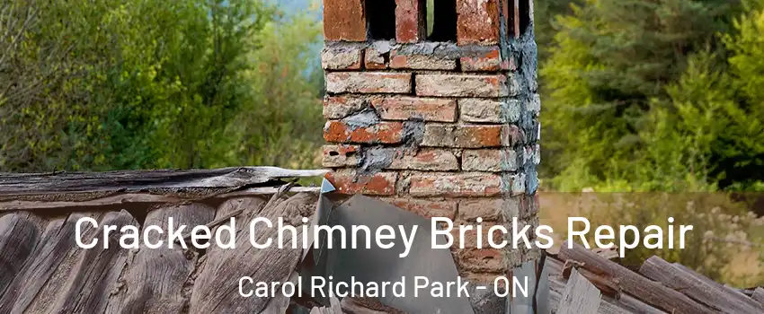  Cracked Chimney Bricks Repair Carol Richard Park - ON